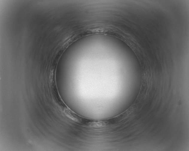 X0000080700652200612150838