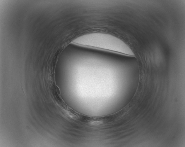 X0000080700653200612150838