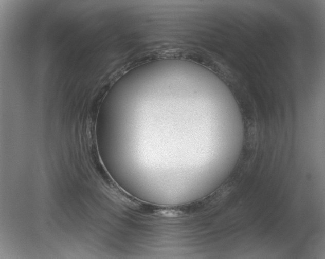 X0000080700654200612150838