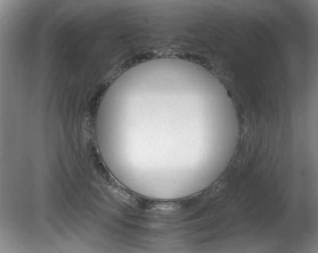 X0000080700659200612150838