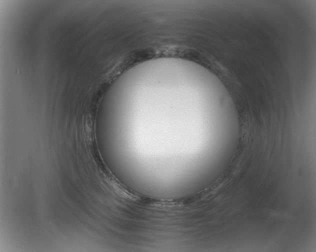 X0000080700661200612150838