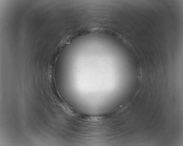 X0000080700664200612150838