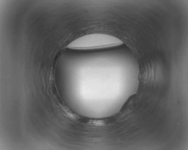 X0000080700665200612150838
