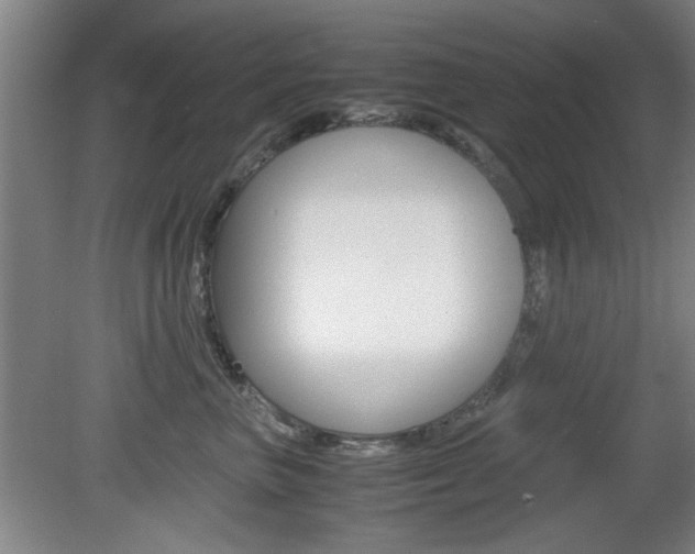 X0000080700667200612150838
