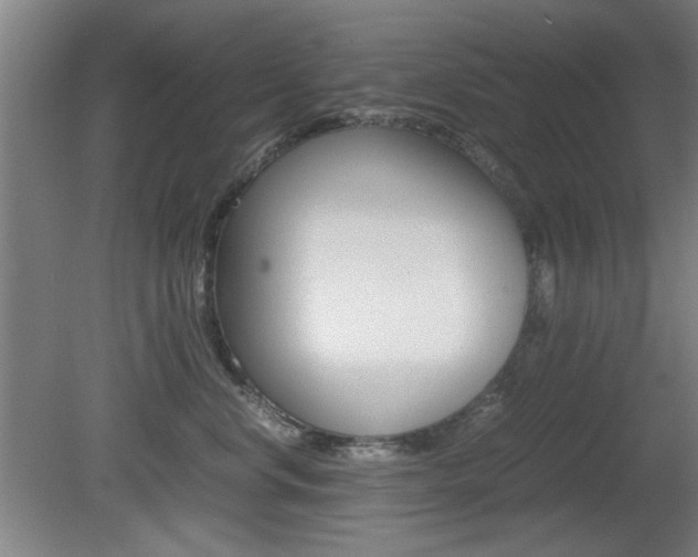 X0000080700668200612150838