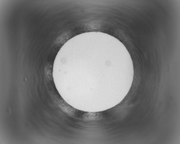 X0000080700672200612150838