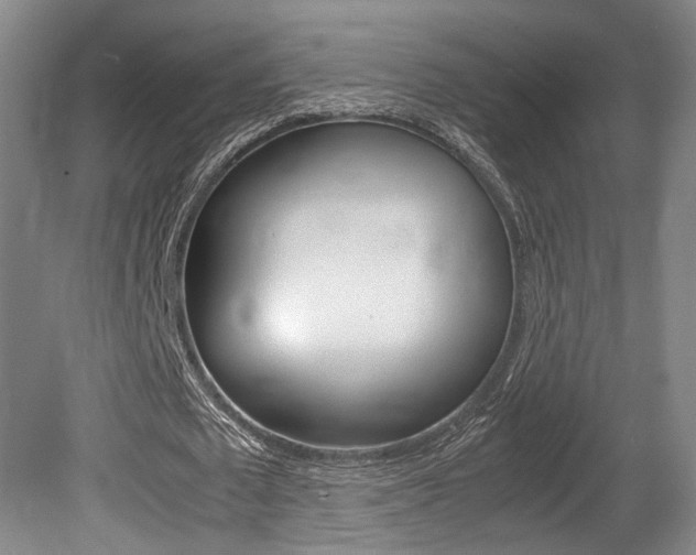X0000080700673200612150837