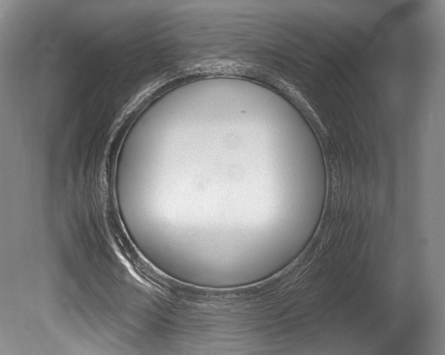 X0000080700674200612150837