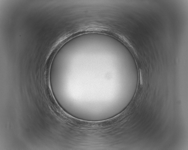 X0000080700675200612150837
