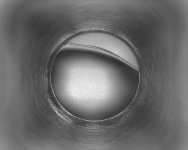 X0000080700677200612150837