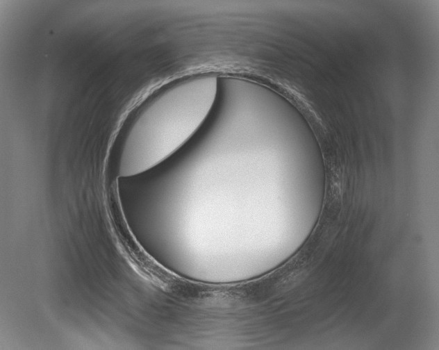X0000080700678200612150837