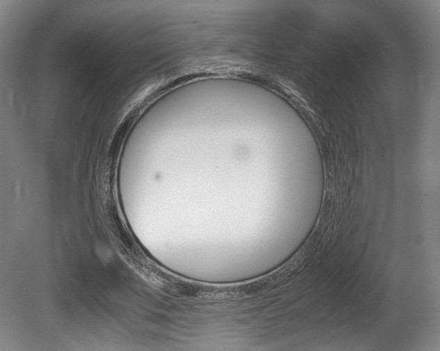 X0000080700679200612150837