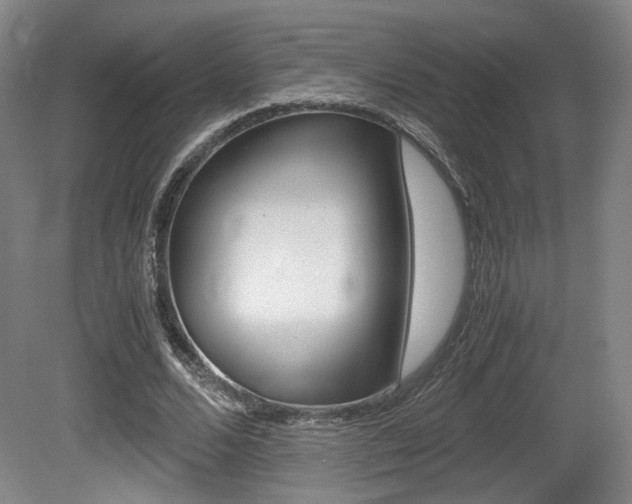 X0000080700680200612150837