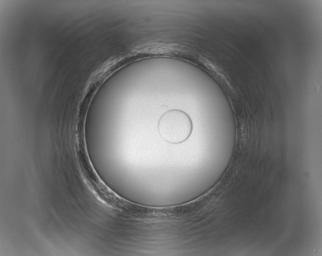 X0000080700682200612150837