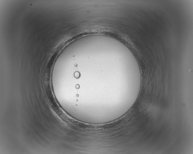 X0000080700683200612150837