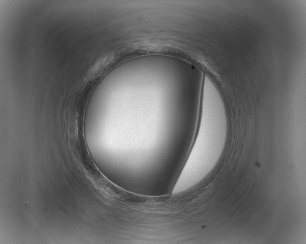 X0000080700685200612150837