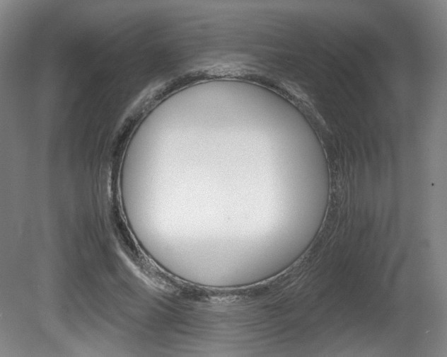 X0000080700686200612150837