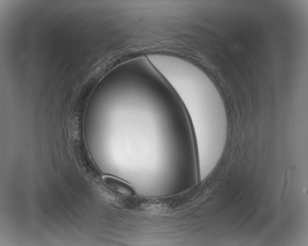 X0000080700689200612150837
