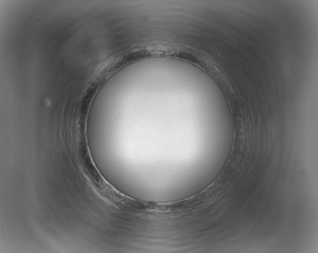 X0000080700690200612150837