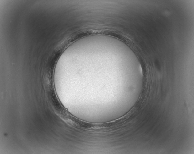 X0000080700691200612150837