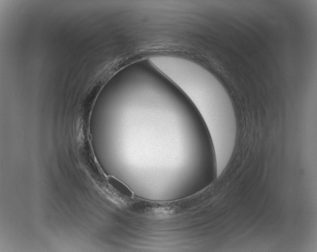 X0000080700692200612150837