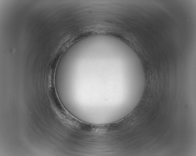 X0000080700694200612150837