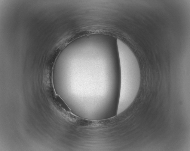 X0000080700696200612150837