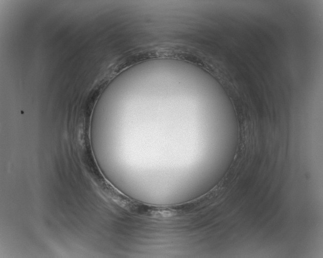 X0000080700698200612150837
