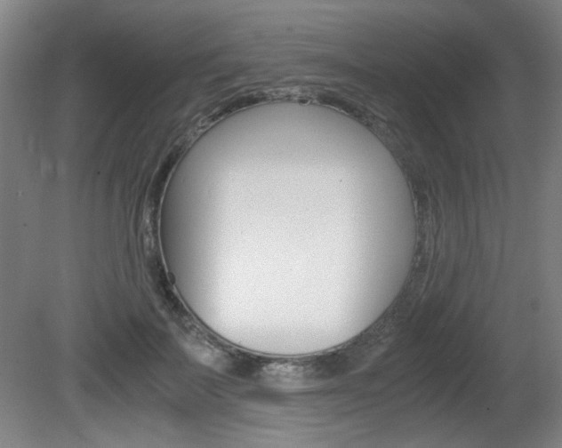 X0000080700699200612150837