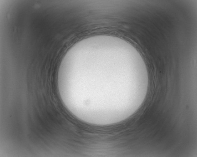 X0000080700701200612150837