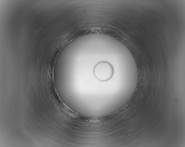 X0000080700702200612150837
