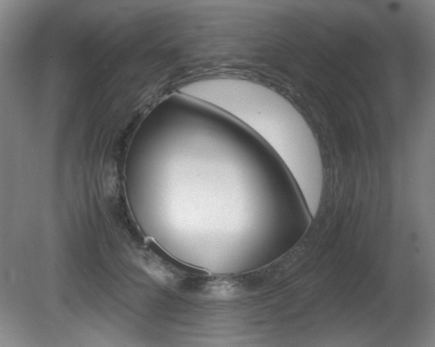 X0000080700704200612150837