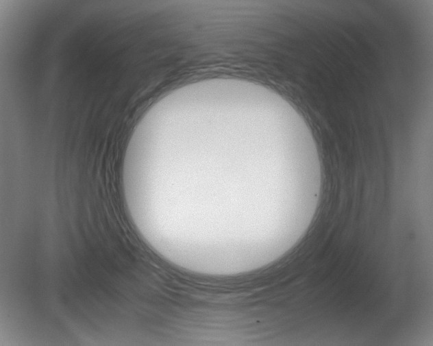 X0000080700705200612150837