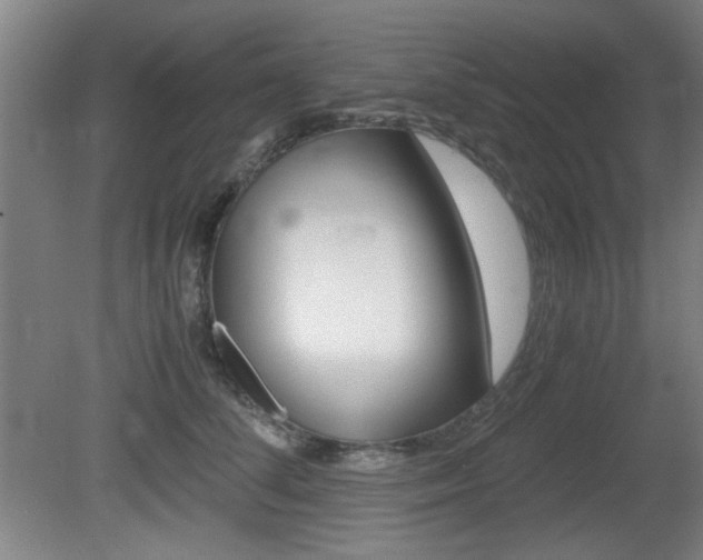 X0000080700708200612150837