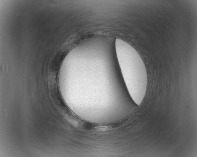 X0000080700711200612150837