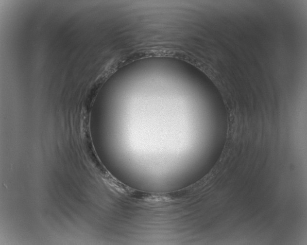 X0000080700712200612150837