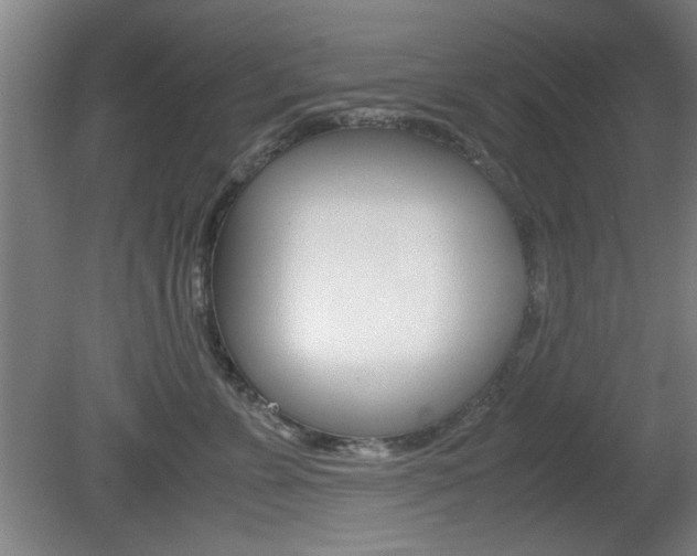 X0000080700715200612150837