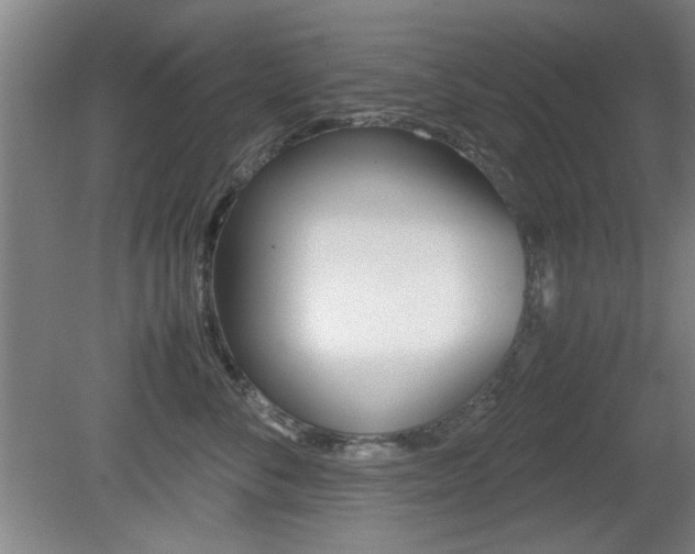 X0000080700716200612150837