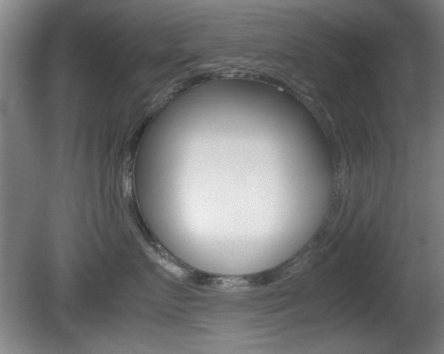 X0000080700719200612150836
