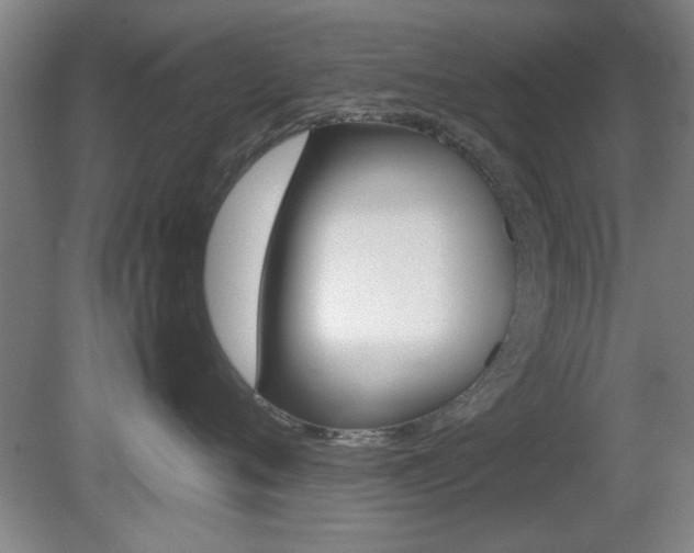 X0000080700720200612150836