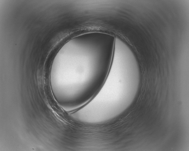 X0000080700722200612150836
