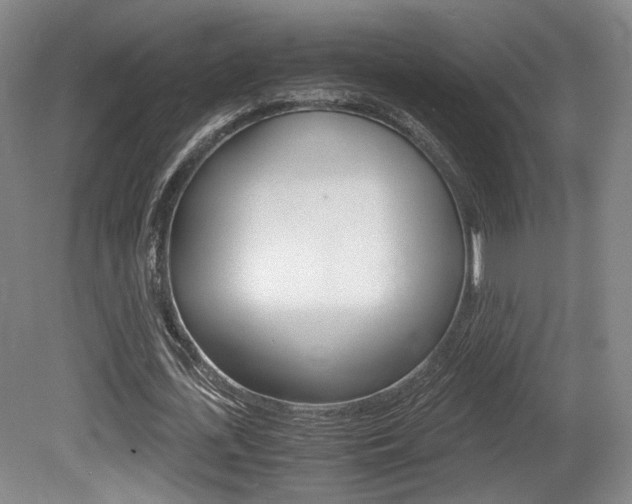 X0000080700723200612150836