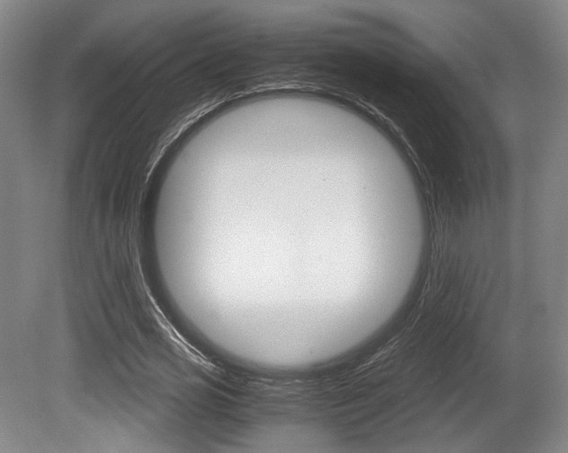 X0000080700725200612150836
