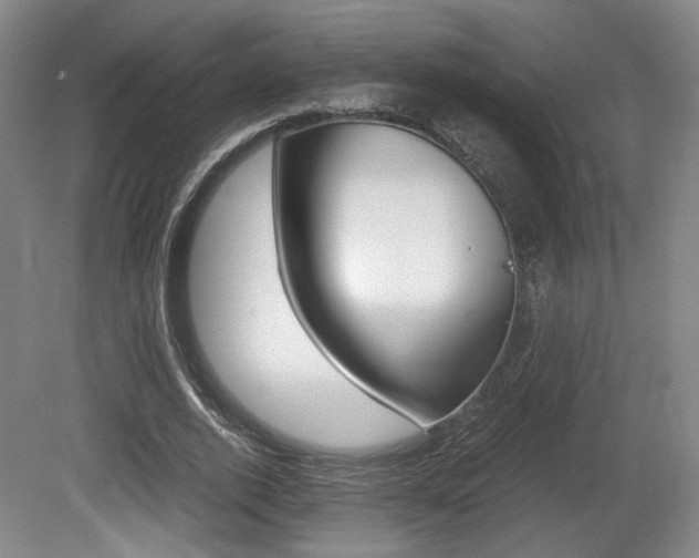X0000080700728200612150836
