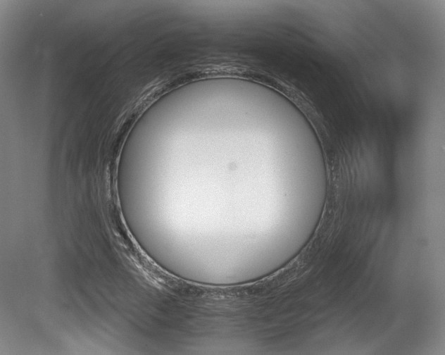 X0000080700729200612150836