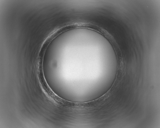 X0000080700730200612150836
