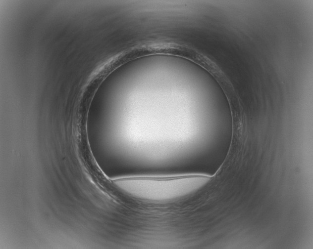 X0000080700732200612150836