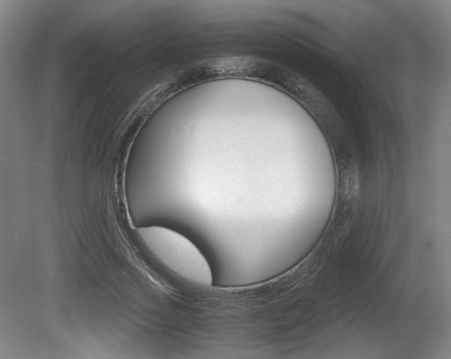 X0000080700733200612150836