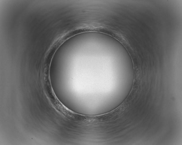 X0000080700736200612150836