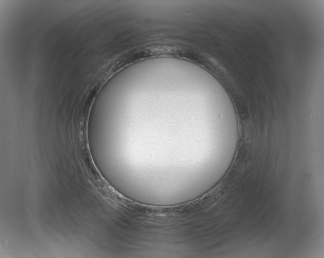 X0000080700737200612150836